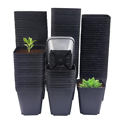 Square Nursery Pots 3" (120Pcs)