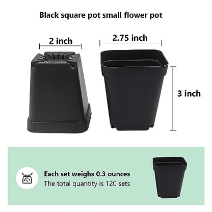 Square Nursery Pots 3" (120Pcs)