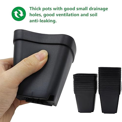 Square Nursery Pots 3" (120Pcs)