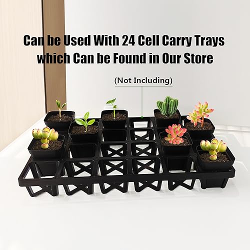 Square Nursery Pots 3" (120Pcs)