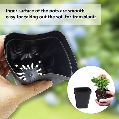 Square Nursery Pots 3" (120Pcs)