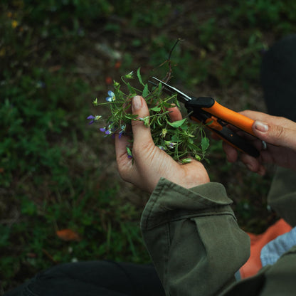 Fiskars Micro-Tip Pruning Snips - 6"