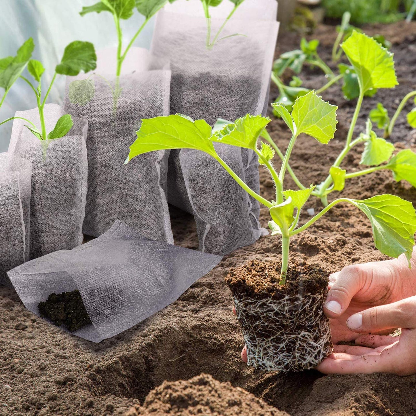 Biodegradable Plant Nursery Bags 200pcs (14x16cm)