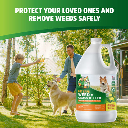 Natural Weed Killer